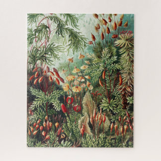 Dschungel-Wildnis-Puzzle Puzzle