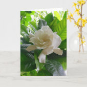 DschungelGardenia Karte (Gelbe Blume)