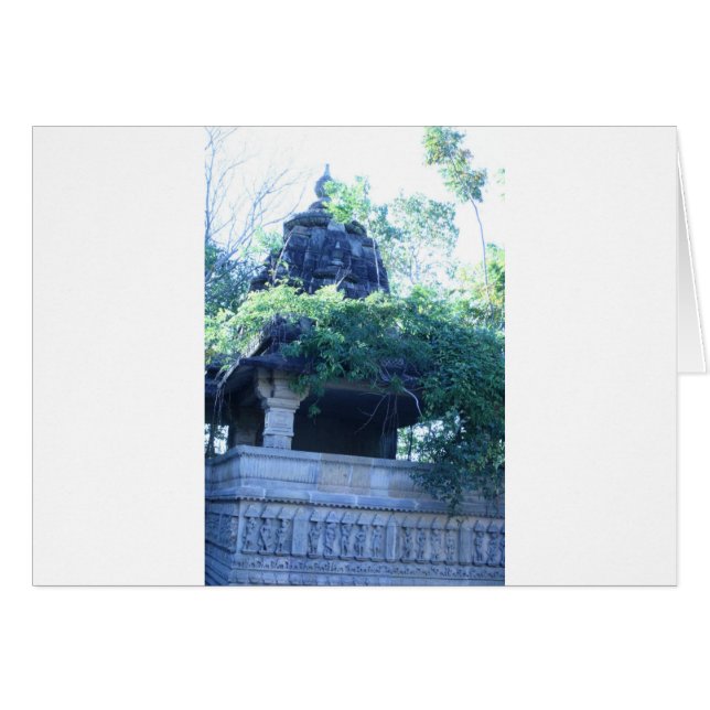 DschungelGebäude (Vorderseite (Horizontal))