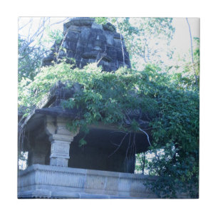 DschungelGebäude Fliese