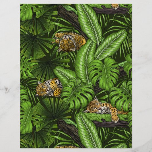 DschungelKätzchen (Vorderseite)