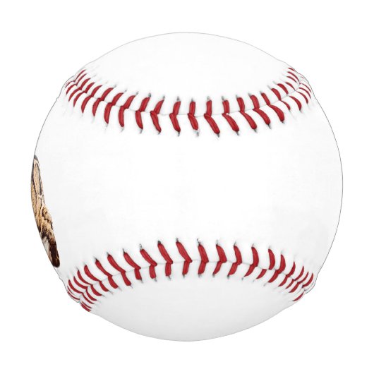 Dschungelkatzentier mit getrübter Leoparde Baseball (Vorderseite)