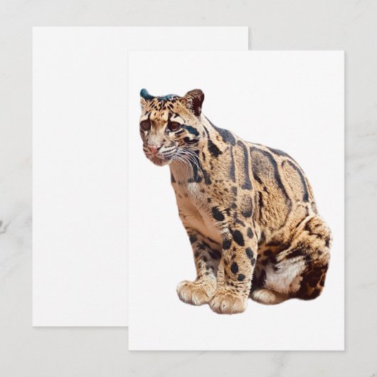 Dschungelkatzentier mit getrübter Leoparde Einladung (Vorne/Hinten)