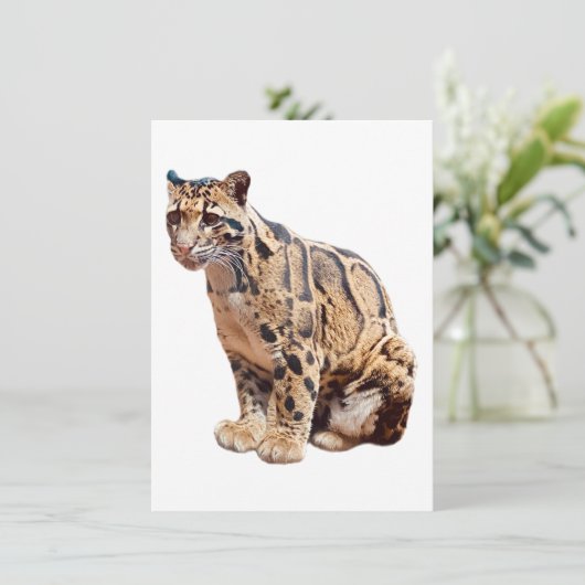 Dschungelkatzentier mit getrübter Leoparde Einladung (Stehend Vorderseite)