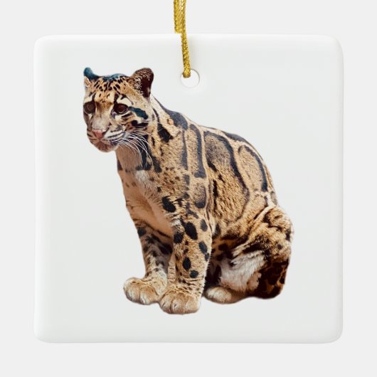 Dschungelkatzentier mit getrübter Leoparde Keramikornament (Vorderseite)