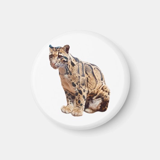 Dschungelkatzentier mit getrübter Leoparde Magnet (Vorne)