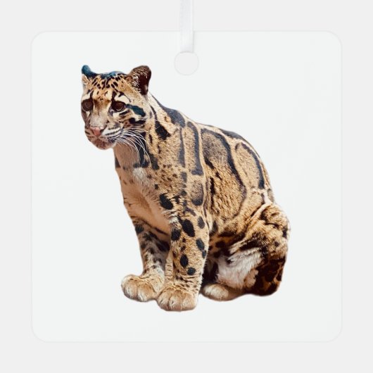 Dschungelkatzentier mit getrübter Leoparde Ornament Aus Metall (Vorderseite)