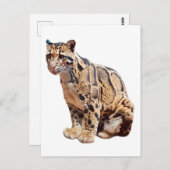 Dschungelkatzentier mit getrübter Leoparde Postkarte (Vorne/Hinten)