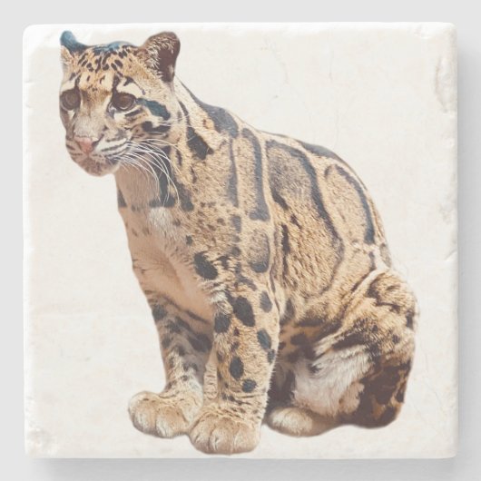 Dschungelkatzentier mit getrübter Leoparde Steinuntersetzer (Vorderseite)