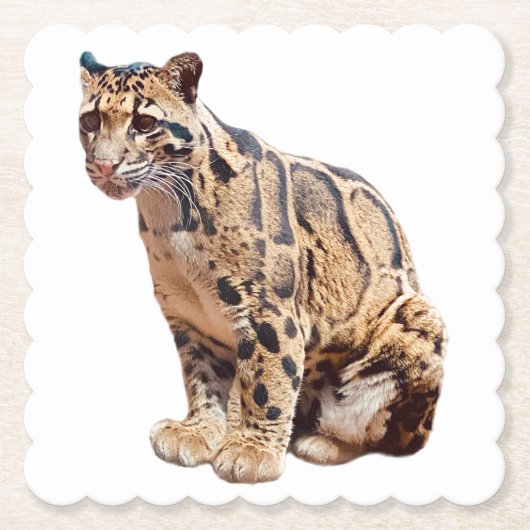 Dschungelkatzentier mit getrübter Leoparde Untersetzer (Vorderseite)