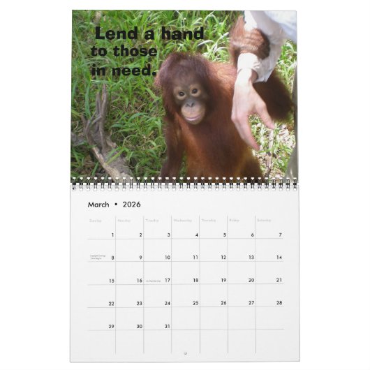 Dschungellehrgänge Kalender (Mär 2026)