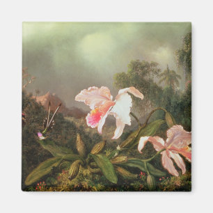 Dschungelorchideen und Kolibris, 1872 Magnet