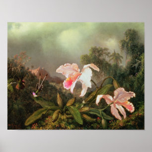 Dschungelorchideen und Kolibris, 1872 Poster