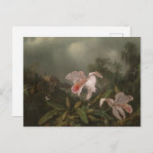 Dschungelorchien und Hummingvögel Postkarte (Vorne/Hinten)