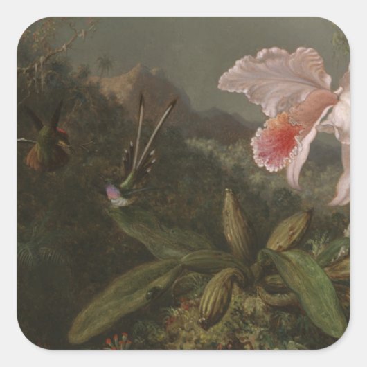 Dschungelorchien und Hummingvögel Quadratischer Aufkleber (Vorderseite)