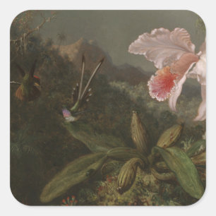 Dschungelorchien und Hummingvögel Quadratischer Aufkleber