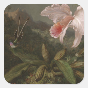 Dschungelorchien und Hummingvögel Quadratischer Aufkleber