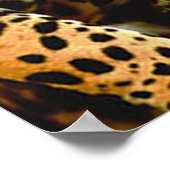 Dschungelposter Poster (Ecke)