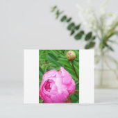 DSCI0964.JPG POSTKARTE (Stehend Vorderseite)