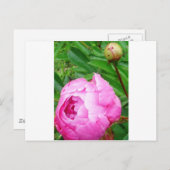 DSCI0964.JPG POSTKARTE (Vorne/Hinten)