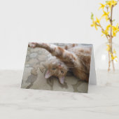 DSCN0119 KARTE (Gelbe Blume)