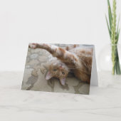 DSCN0119 KARTE (Vorderseite)