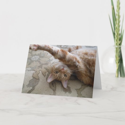 DSCN0119 KARTE (Vorderseite)