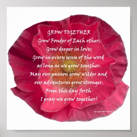 DSCN0136 POSTER (Vorne)