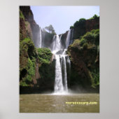 DSCN9348, moroccocarp.com Poster (Vorne)