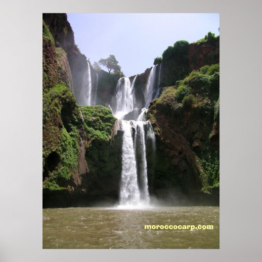 DSCN9348, moroccocarp.com Poster (Vorne)
