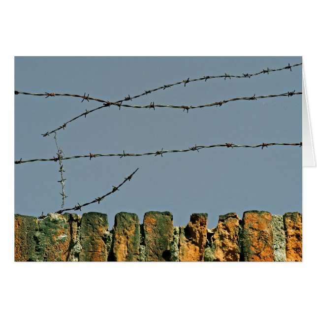 Du bist Barbed! (Vorderseite (Horizontal))