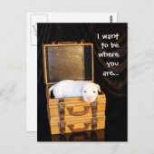 Du bist bei... postkarte (Vorne/Hinten)