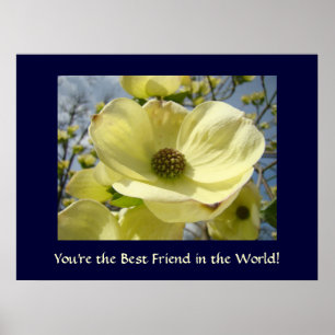 Du bist der beste Freund der Welt! Kunst Dogwoods Poster