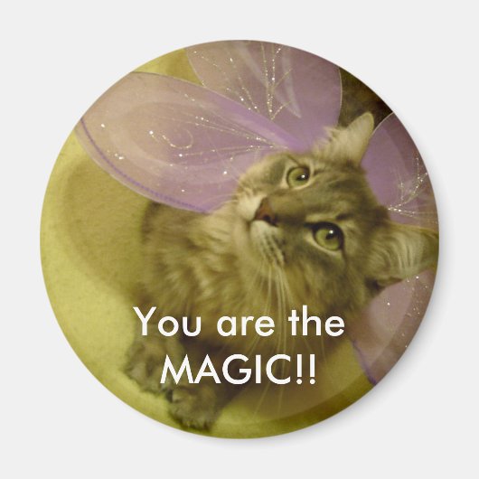 Du bist der MAGIC! Magnet (Vorne)