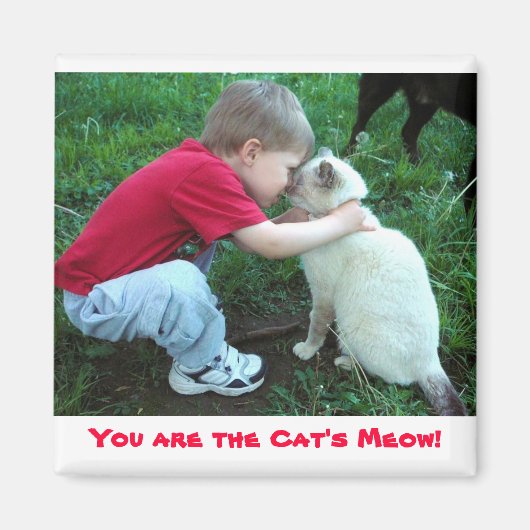 Du bist der Meow der Katze! Magnet (Vorne)