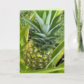 Du bist die Ananas meiner Augengrußkarte Karte (Vorderseite)