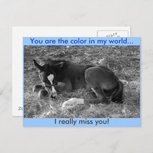 Du bist die Farbe in meiner Welt Postkarte (Vorne/Hinten)