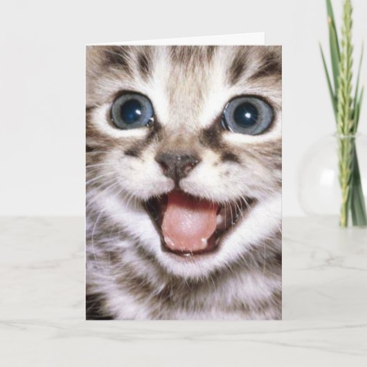 Du bist die Katze Meow! Funny Cat Card Dankeskarte (Vorderseite)
