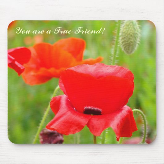 Du bist ein echter Freund! Mousepad Red Poppy Blum (Vorne)