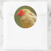 Du bist ein Star! Finch Runder Aufkleber (Tasche)