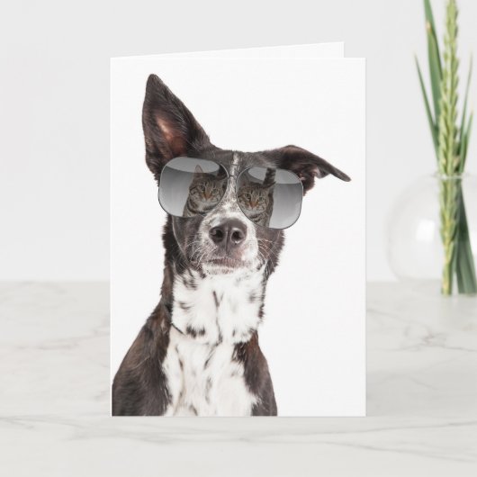 Du bist eine Coole Cat Friendship Card Karte (Vorderseite)