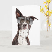 Du bist eine Coole Cat Friendship Card Karte (Gelbe Blume)