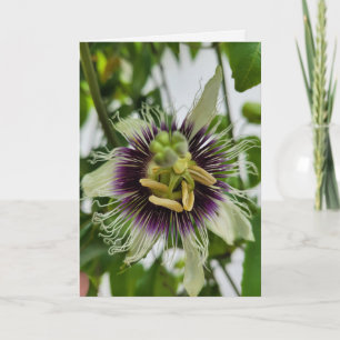 Du bist eine großartige Frau Flor Lila Karte