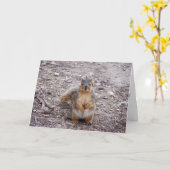 Du bist eine Nuss Karte (Gelbe Blume)