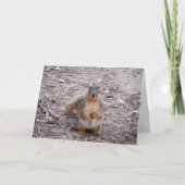 Du bist eine Nuss Karte (Vorderseite)