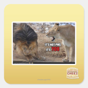 Du bist es! quadratischer aufkleber