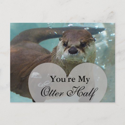 Du bist mein Otter Half Brown River Otter Schwimme Postkarte (Vorderseite)