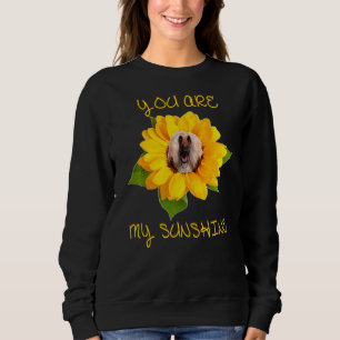 Du bist mein sonnenbeschwingtes afghanisches Hund  Sweatshirt