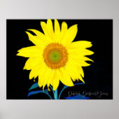 Du bist mein Sonnenblumenposter Poster (Vorne)