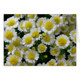 Du bist mein Sonnenschein